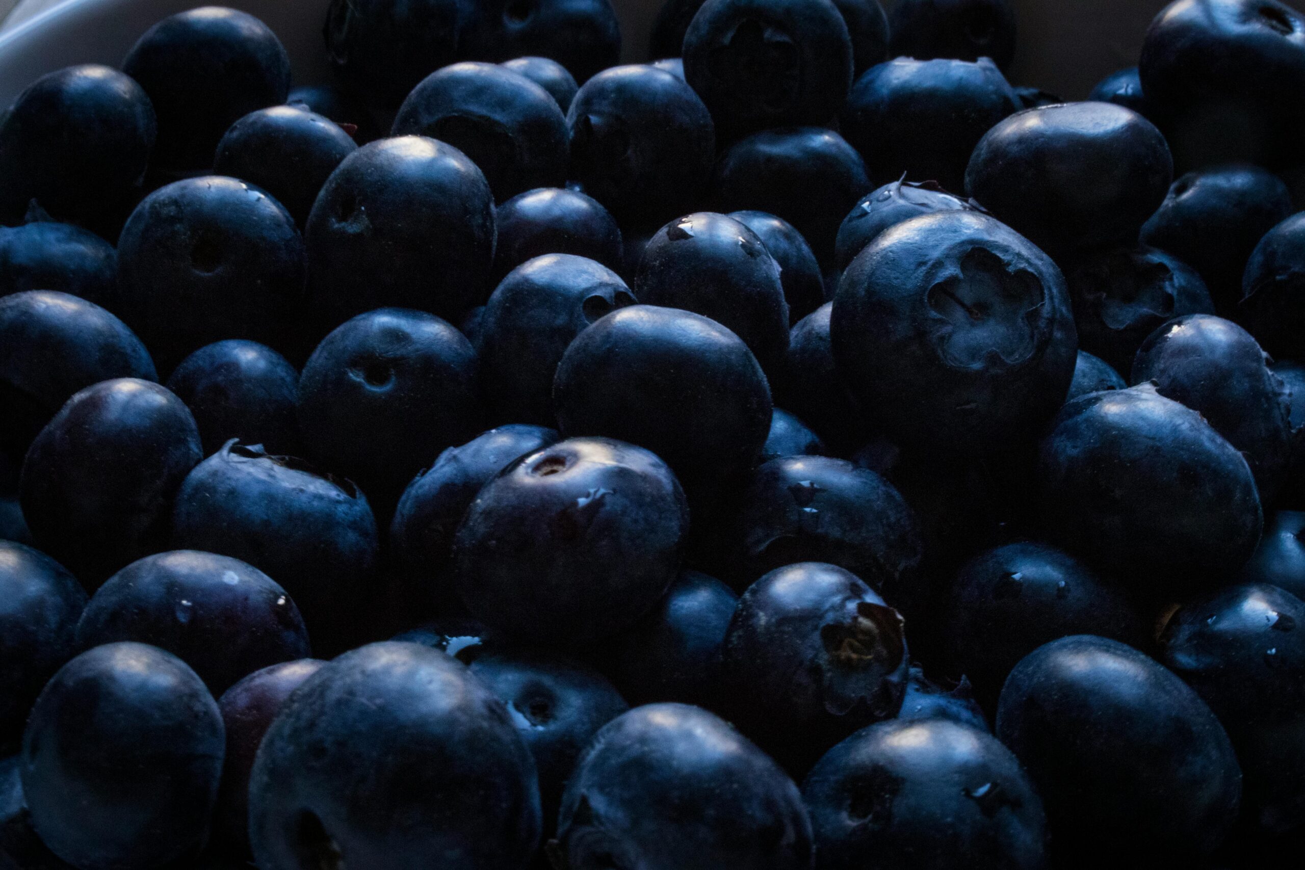 Nahaufnahmefoto Von Blaubeeren