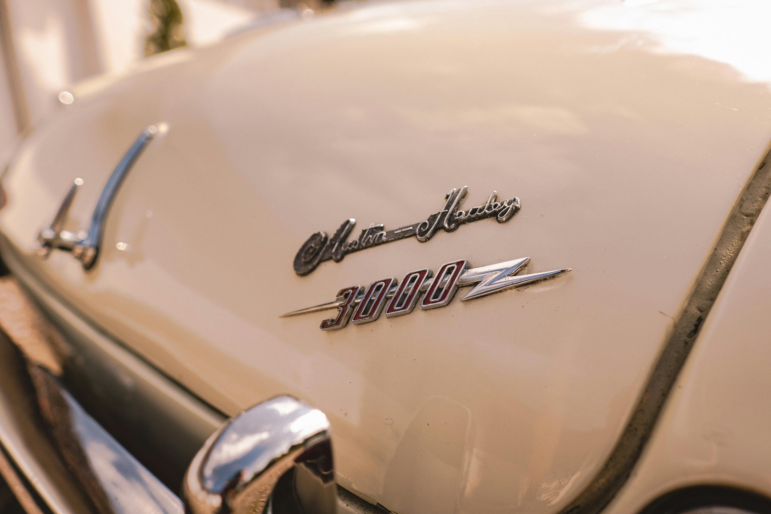 Detailansicht des Austin Healey 3000-Emblems auf einem englischen Oldtimer-Sportwagen.