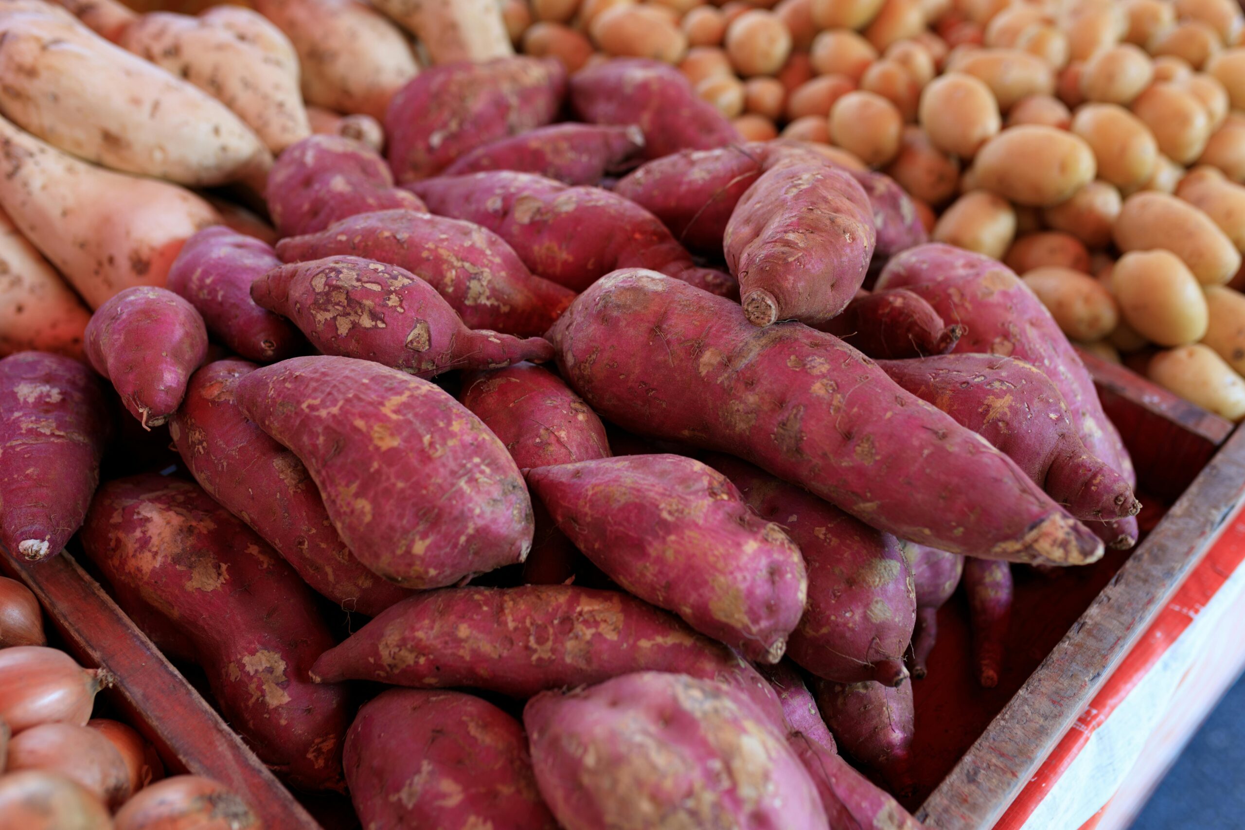 Eine farbenfrohe Auswahl frischer SÃ¼ÃŸkartoffeln auf einem lokalen Markt hebt ihre satten Farben und Texturen hervor.